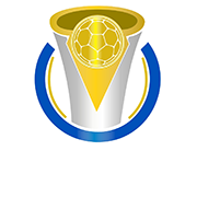 巴西丁级联赛
